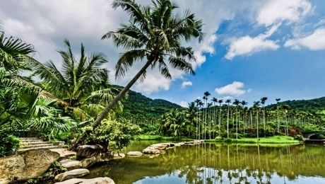 海南乡村旅游文化节.png