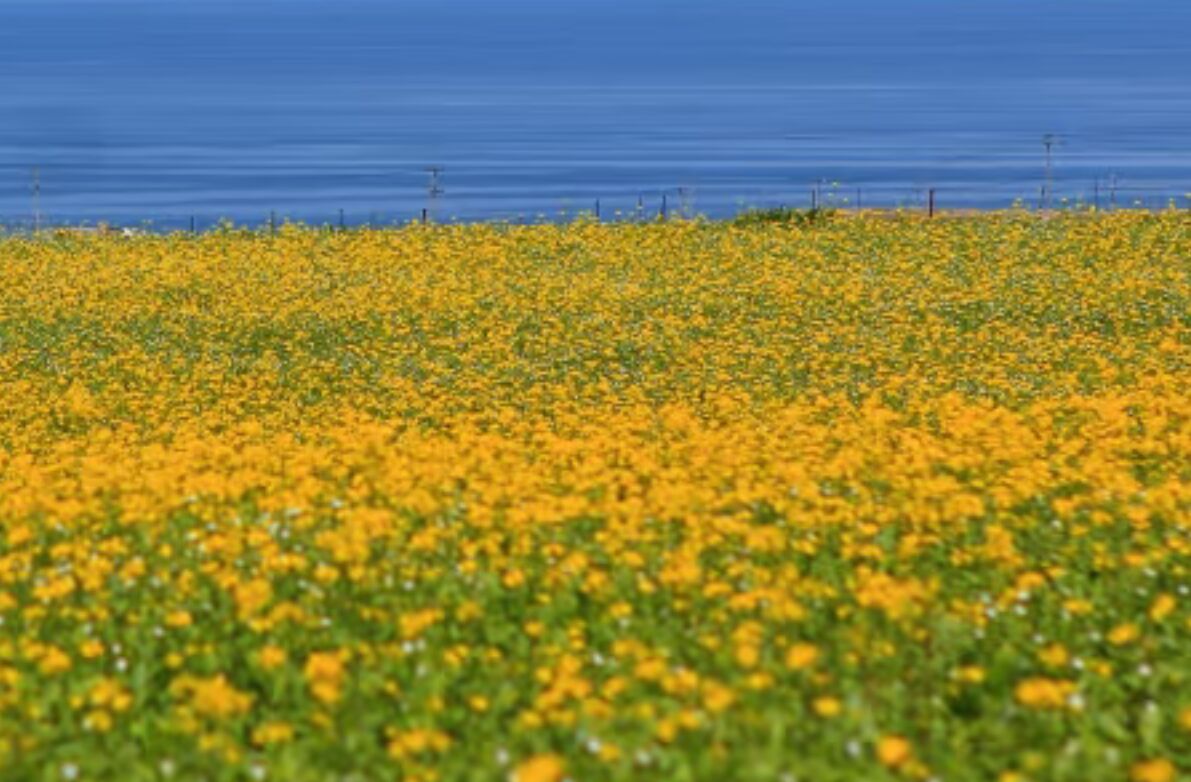 F977AB6D936703C83A734113DB272D93.jpg
